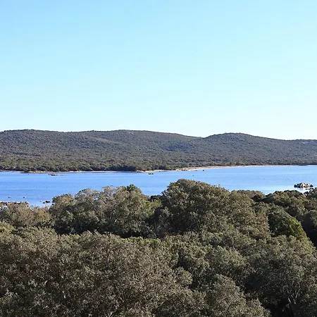 アパート La Pepite Corse - Magnifique T2 Vue *