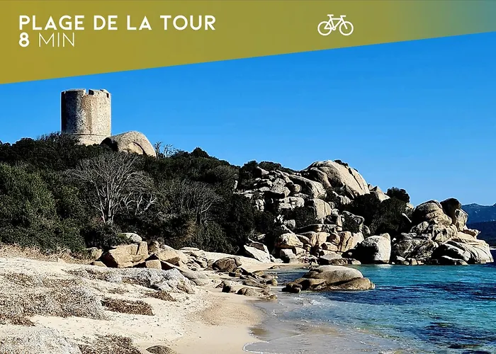 La Pepite Corse - Magnifique T2 Vue Daire